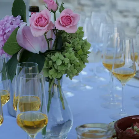 게스트하우스 Hani I Qerosit Stalin