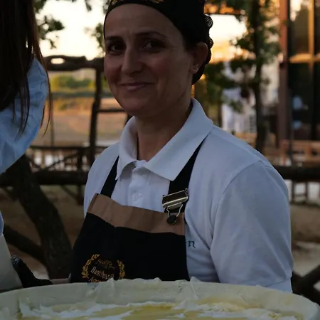 Guest house Hani I Qerosit *