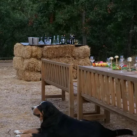 Guest house Hani I Qerosit *