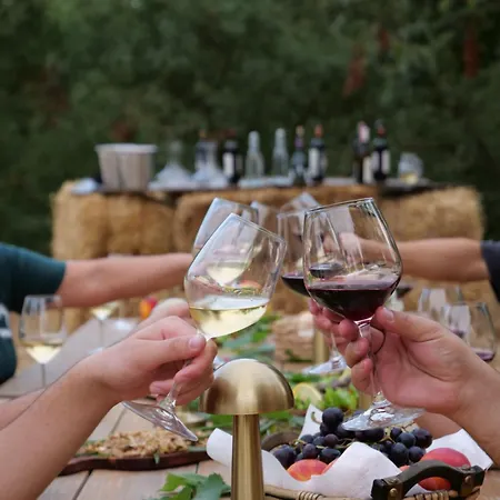 Hani I Qerosit Guest house Kucove