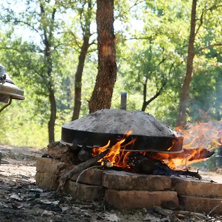 Guest house Hani I Qerosit Kucove