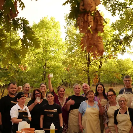 Hani I Qerosit Guest house