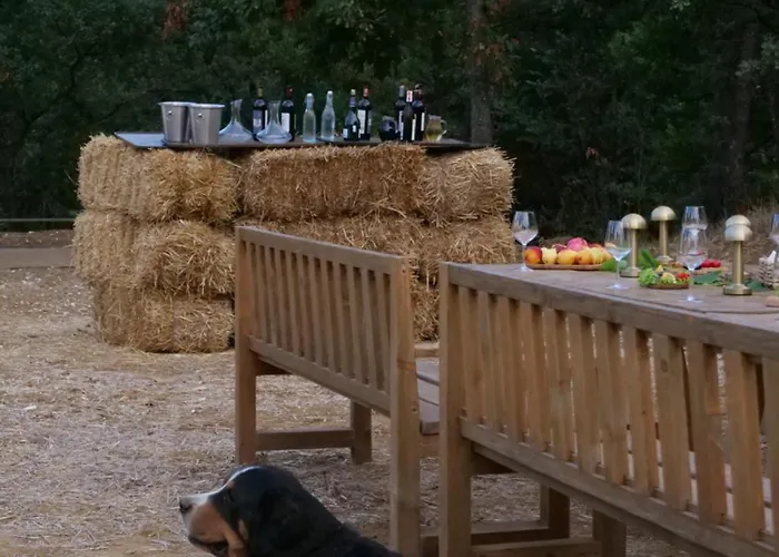 Maison d'hôtes Hani I Qerosit *