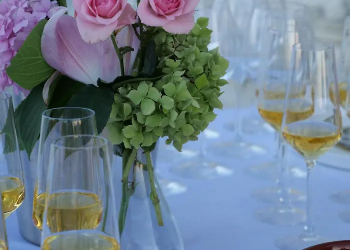 Maison d'hôtes Hani I Qerosit Kuçovë