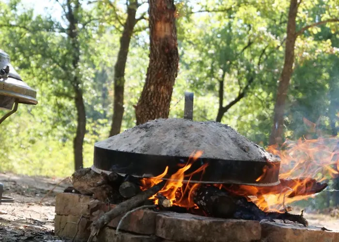 Maison d'hôtes Hani I Qerosit Kuçovë