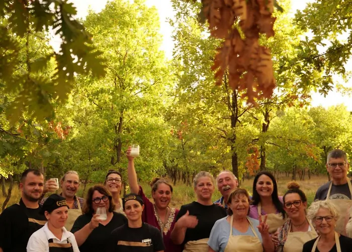 Hani I Qerosit Maison d'hôtes